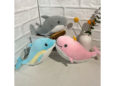 <img src='photo/O/JO221320.jpg'width='400' height='300'>