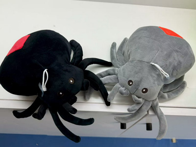 <img src='photo/O/JO221332.jpg'width='400' height='300'>