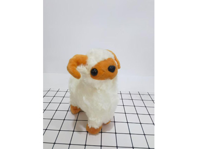 <img src='photo/O/JO223579.jpg'width='400' height='300'>