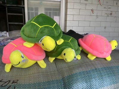 <img src='photo/O/JO223587.jpg'width='400' height='300'>