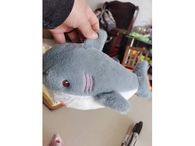 <img src='photo/O/JO223635.jpg'width='400' height='300'>