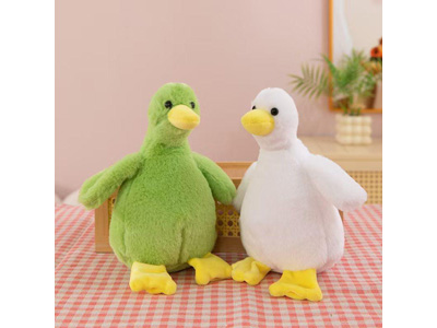 <img src='photo/O/JO223664.jpg'width='400' height='300'>