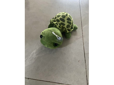 <img src='photo/O/JO223690.jpg'width='400' height='300'>