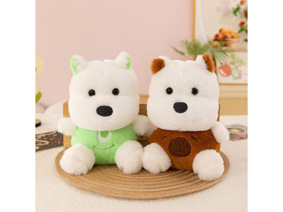 <img src='photo/O/JO223729.jpg'width='400' height='300'>