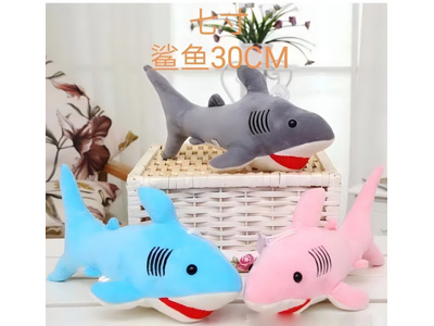 <img src='photo/O/JO223758.jpg'width='400' height='300'>