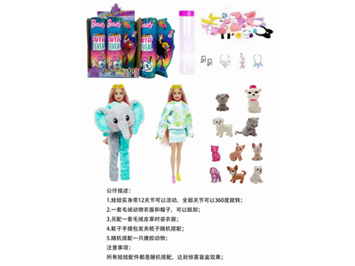 <img src='photo/O/JO226028.jpg'width='400' height='300'>