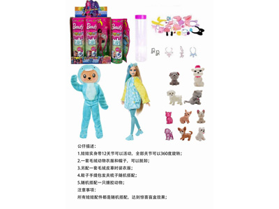 <img src='photo/O/JO226041.jpg'width='400' height='300'>