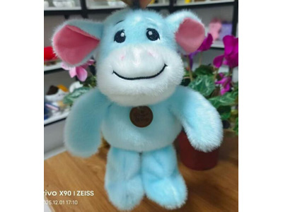 <img src='photo/O/JO229826.jpg'width='400' height='300'>