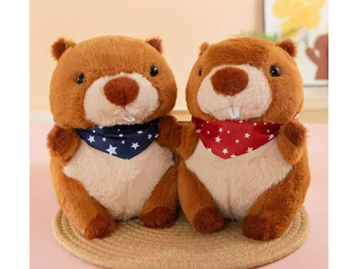 <img src='photo/O/JO229837.jpg'width='400' height='300'>