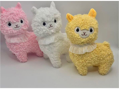 <img src='photo/O/JO229854.jpg'width='400' height='300'>