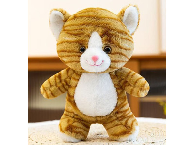 <img src='photo/O/JO229862.jpg'width='400' height='300'>