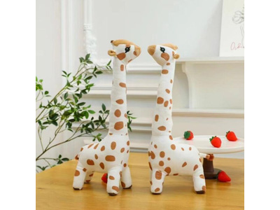 <img src='photo/O/JO229884.jpg'width='400' height='300'>