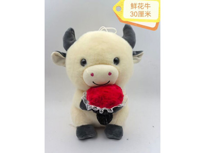 <img src='photo/O/JO229913.jpg'width='400' height='300'>