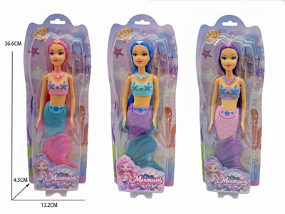 <img src='photo/O/JO230644.jpg'width='400' height='300'>