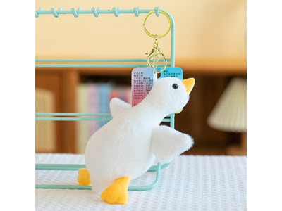 <img src='photo/P/JP006584.jpg'width='400' height='300'>