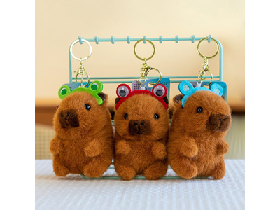 <img src='photo/P/JP006592.jpg'width='400' height='300'>