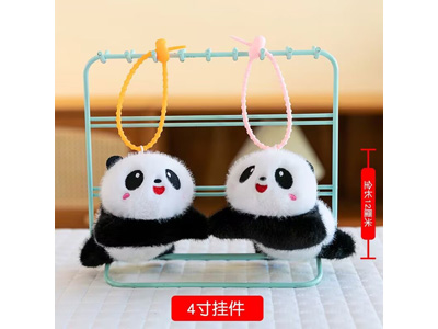 <img src='photo/P/JP006656.jpg'width='400' height='300'>