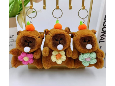 <img src='photo/P/JP006782.jpg'width='400' height='300'>