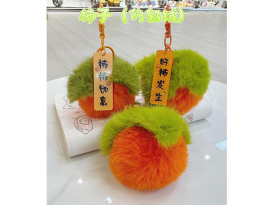 <img src='photo/P/JP006792.jpg'width='400' height='300'>