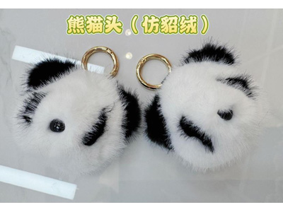 <img src='photo/P/JP006875.jpg'width='400' height='300'>