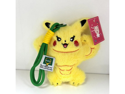 <img src='photo/P/JP006972.jpg'width='400' height='300'>