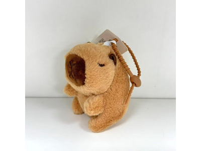 <img src='photo/P/JP006978.jpg'width='400' height='300'>