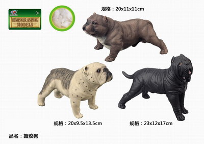 <img src='photo/R/JR057426.jpg'width='400' height='300'>