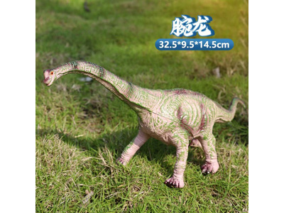 <img src='photo/R/JR057923.jpg'width='400' height='300'>