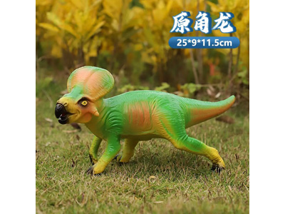 <img src='photo/R/JR057924.jpg'width='400' height='300'>