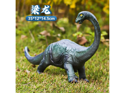 <img src='photo/R/JR057925.jpg'width='400' height='300'>