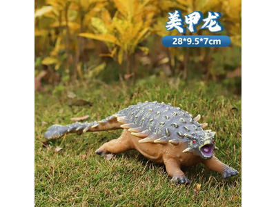 <img src='photo/R/JR057927.jpg'width='400' height='300'>