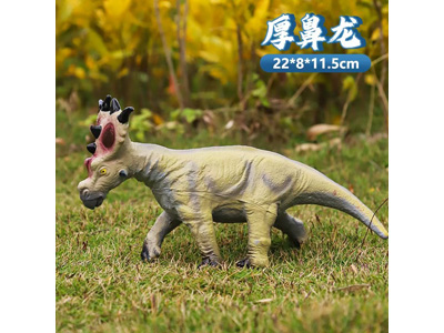 <img src='photo/R/JR057932.jpg'width='400' height='300'>