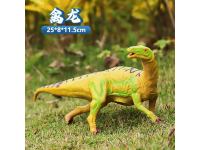 <img src='photo/R/JR057933.jpg'width='400' height='300'>