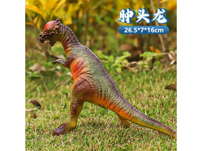 <img src='photo/R/JR057934.jpg'width='400' height='300'>