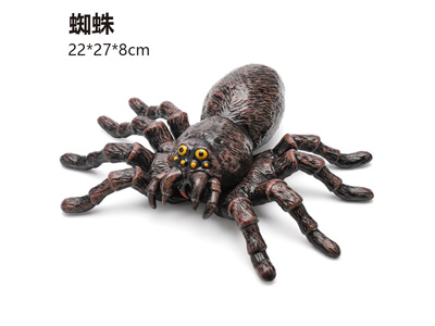 <img src='photo/R/JR057936.jpg'width='400' height='300'>