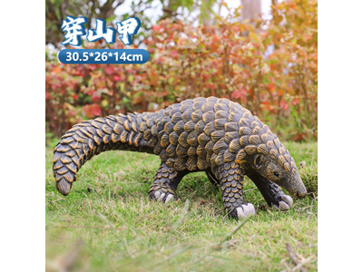 <img src='photo/R/JR057939.jpg'width='400' height='300'>