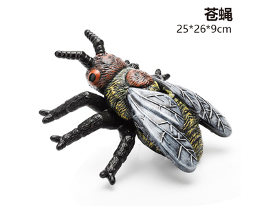 <img src='photo/R/JR057940.jpg'width='400' height='300'>