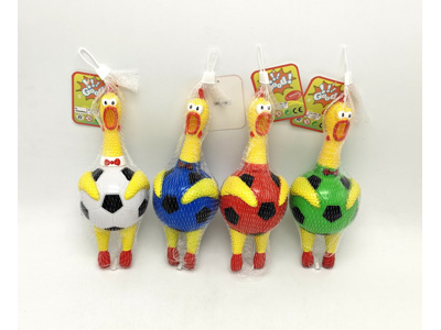 <img src='photo/R/JR058248.jpg'width='400' height='300'>