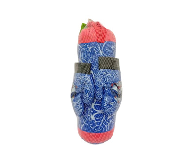 <img src='photo/S/JS086822.jpg'width='400' height='300'>