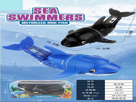 <img src='photo/V/JV090952.jpg'width='400' height='300'>