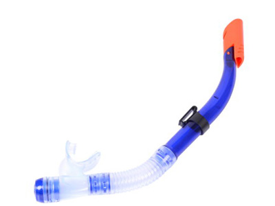 <img src='photo/V/JV097619.jpg'width='400' height='300'>