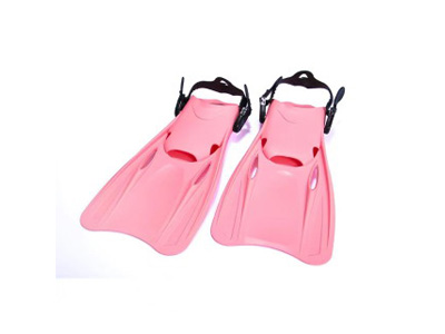 <img src='photo/V/JV097632.jpg'width='400' height='300'>