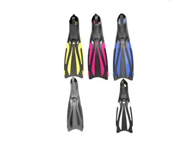 <img src='photo/V/JV097645.jpg'width='400' height='300'>