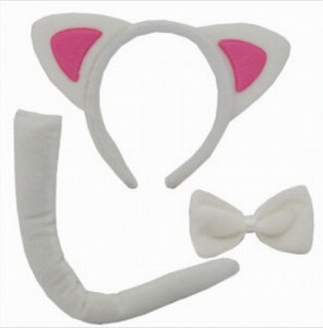 <img src='photo/X/JX063563.jpg'width='400' height='300'>