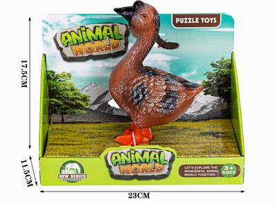 <img src='photo/Z/JZ086850.jpg'width='400' height='300'>