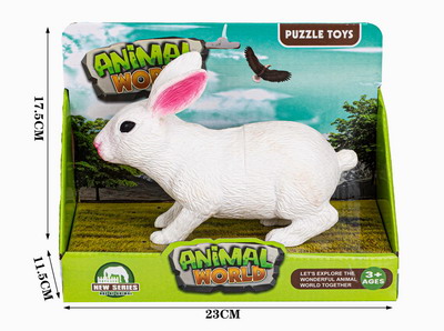 <img src='photo/Z/JZ086851.jpg'width='400' height='300'>