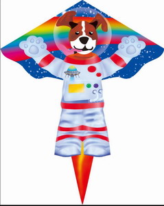 <img src='photo/Z/JZ087204.jpg'width='400' height='300'>