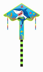 <img src='photo/Z/JZ087213.jpg'width='400' height='300'>