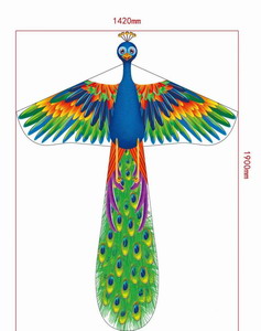 <img src='photo/Z/JZ087215.jpg'width='400' height='300'>