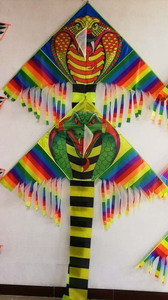 <img src='photo/Z/JZ087229.jpg'width='400' height='300'>